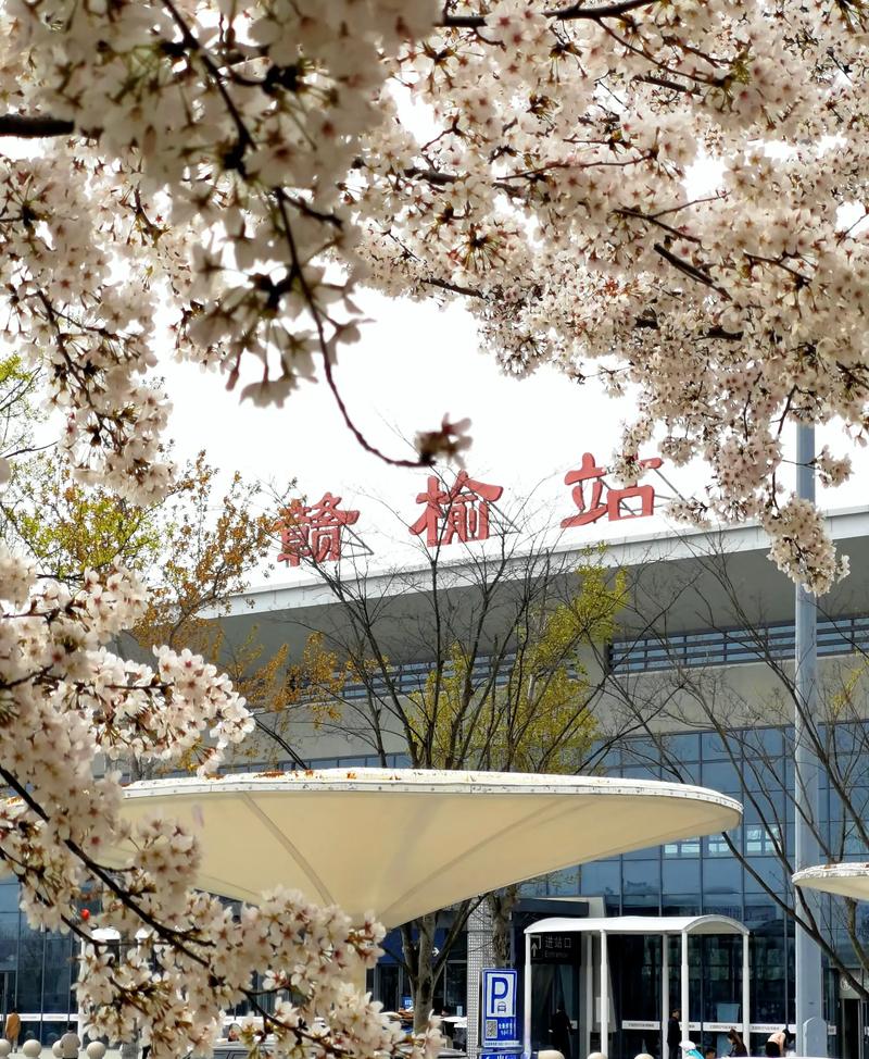 二手房市场新动态：关注赣榆区的购房热点